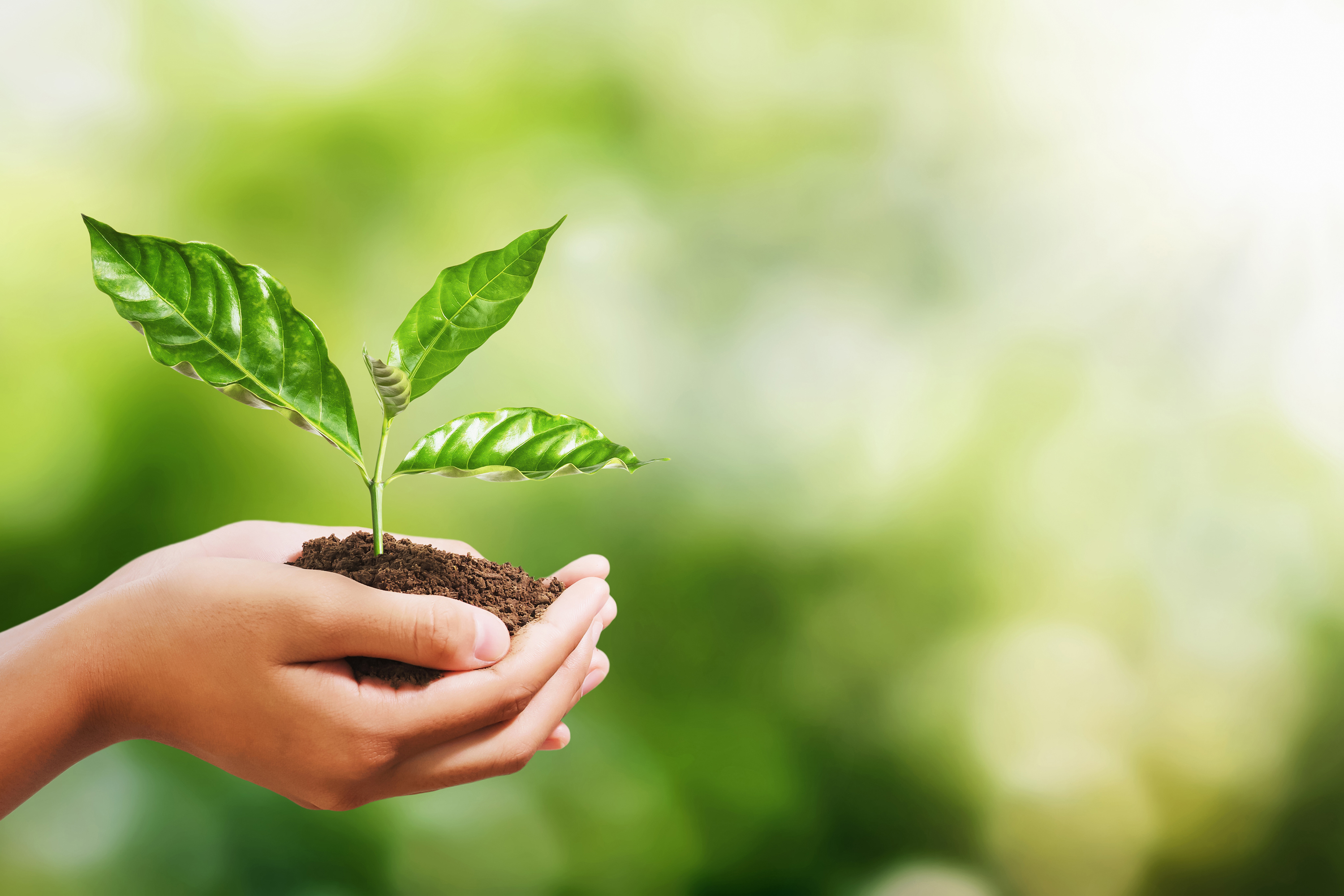 ECO & ENERGY SMART